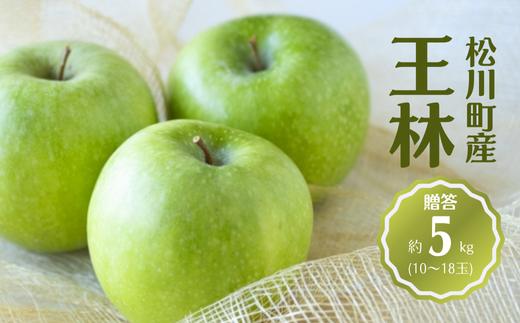 KR33-25A りんご 王林 贈答 約5kg（10～18玉） / 11月上旬頃～配送予定 // 長野県 南信州 リンゴ 林檎 ギフト おうりん 黄緑色りんご 農家直送 農家支援 産地直送