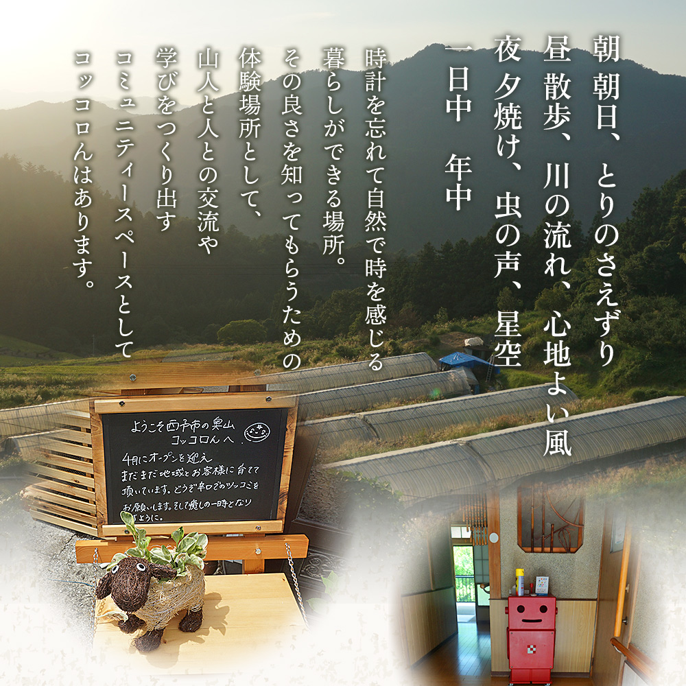 ＜大自然を感じるコッコロんの一棟貸しプラン(1泊)＞ ゲストハウス 古民家 宿 泊まり 利用券 旅 旅行 トラベル 1泊 犬同伴 愛犬 リラックス リノベーション アウトドア BBQ バーベキュー ピ