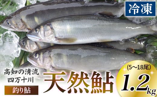 四万十川上流の天然鮎 釣り鮎【冷凍5～18尾】1.2kg 【着日指定不可】Esj-42k あゆ アユ 魚 魚介 川魚 塩焼き 天然　個包装 小分け