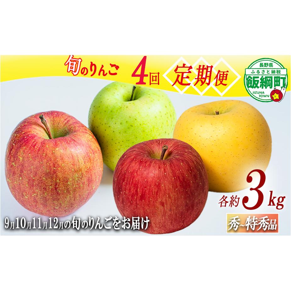 旬のりんご 【 定期便 】 秀 ～ 特秀 3kg × 4回 3キロ ( 8玉 ～ 12玉 ） 9月のりんご 10月のりんご 11月のりんご 12月のりんご 島田フルーツ農園 沖縄県への配送不可 2026年9月上旬頃から2026年12月下旬頃まで順次発送予定 令和8年度収穫分 長野県 飯綱町 [2074]