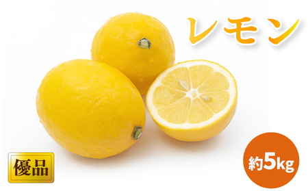 【2026年3月中旬頃から発送】 瀬戸内海の島レモン 優品・家庭用 約５kg ｜ レモン 檸檬 れもん 中島のレモン 中島の檸檬 酸味 数量限定 期間限定 レモン 愛媛県産 減農薬 有機肥料使用 甘み 香り レモン 柑橘 松山市 レモン 中島 レモン 有機栽培 レモン 新鮮 レモン 【KK3161】
