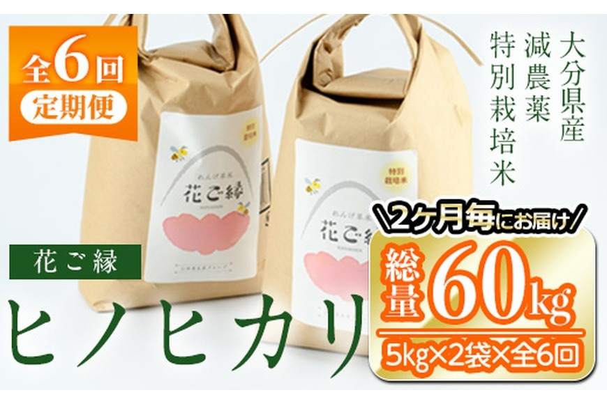 ＜先行予約受付中！2026年11月より発送開始予定＞＜定期便・全6回 (奇数月発送)＞減農薬特別栽培米 はなご縁 (総量60kg・5kg×2袋×6回) 米 定期便 ６回 隔月 ひのひかり ヒノヒカリ 精米 白米 数量限定 大分県産【HD175】【さいき本舗 城下堂】