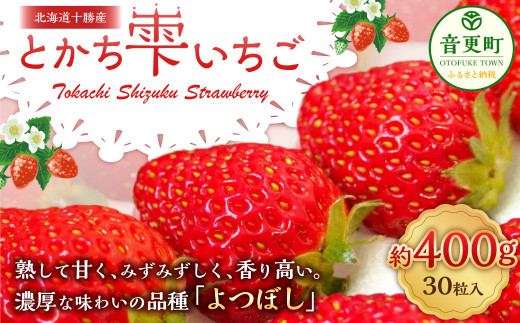 【先行受付】十勝の青空と恵みの水で育った「とかち雫いちご」【A62】2026年4月下旬より順次発送予定