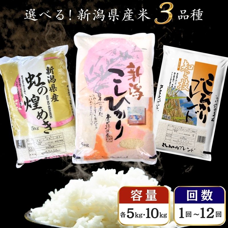 【ふるさと納税】＼選べる品種・回数／ 米 新潟県産 コシヒカリ 虹の煌めき ブレンド 5kg 10kg 定期便 令和7年産 令和8年産 お米 こしひかり にじのきらめき 精米 新米 白米 新潟市 　お届け：令和7年：注文から順次発送、令和8年：各配送開始日より順次発送
