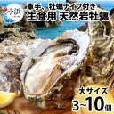 【ふるさと納税】【先行予約】【加福鮮魚】若狭湾　生食用　天然岩牡蠣　大3個（軍手、牡蠣ナイフ付き）【2025年6月下旬より順次発送】 ｜貝 カキ かき 酒の肴 おつまみ バーベキュー 新鮮 3個 牡蠣 冷蔵 送料無料 [A-015008]