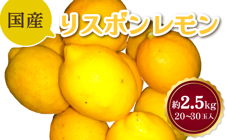 
            【先行受付】  国産 リスボンレモン 約2.5kg 20～30玉【吉田レモニー】【2025年11月上旬-2026年7月上旬発送】
          