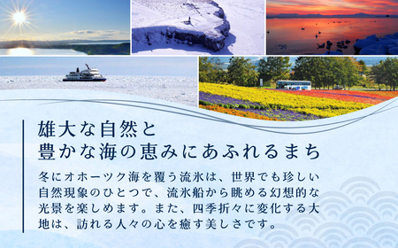 【返礼品なし】北海道網走市・応援寄附10,000円（寄附のみの応援受付 ※返礼品はございません） ABBT003
