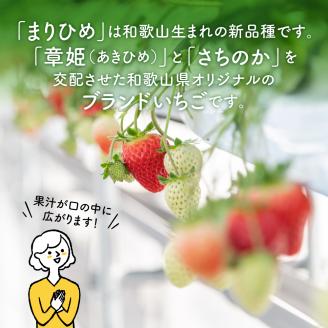 【0566-3】まりひめ4パック入り1kg「和歌山ブランドいちご」農家直送【配送不可地域：北海道・青森・秋田・岩手・沖縄】