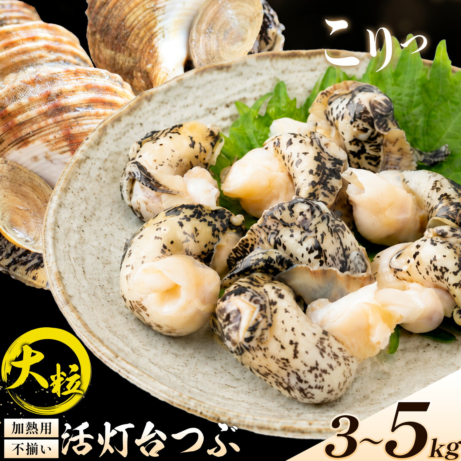 【ふるさと納税】北海道 つぶ貝 灯台つぶ 活き 不揃い 加熱用 選べる 3kg 5kg 株式会社丸金金村商店《8月上旬-10月末頃出荷》北海道 日高町 海鮮 貝 グルメ お取り寄せグルメ