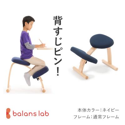 ふるさと納税 美濃市 バランス イージー 通常フレーム バランスチェア 学習椅子 日本製 [ネイビー]
