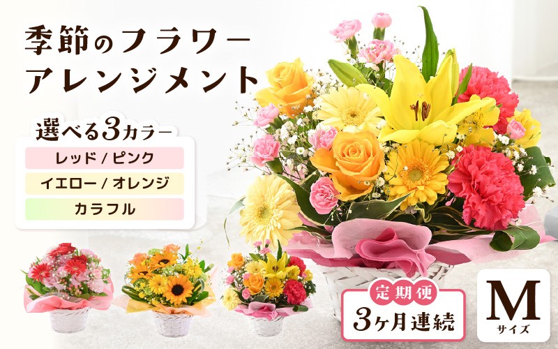 
            定期便 ≪3ヶ月連続お届け≫ 選べるカラー 季節のフラワーアレンジメント M 【カラー：レッド・ピンク / イエロー・オレンジ / カラフル】 【お花 フラワー アレジメント 花束 ギフト 生花 プレゼント 花束 花 記念日 敬老の日 お祝い】 [C-20701] 
          