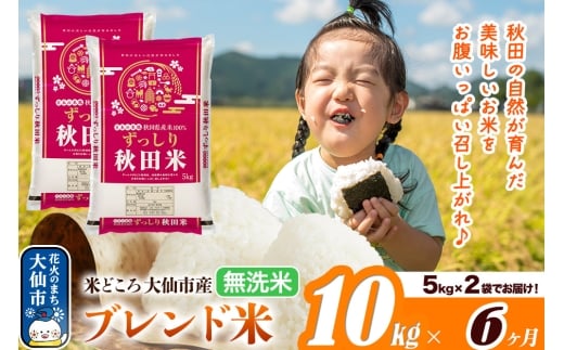 新米 米 令和7年産《定期便6ヶ月》米どころ 秋田県大仙市産 ブレンド米【無洗米】10kg（5kg×2袋）