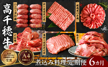 【6か月定期便】高千穂牛煮込み料理6か月定期便_Tk002-t087