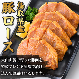 豚ロース味噌漬け(計750g・150g×5枚)鳥取 県産 国産 豚 味付き 味噌味 ロース豚 ロース 惣菜 焼くだけ 冷凍【sm-AP009】【いろは精肉本店】