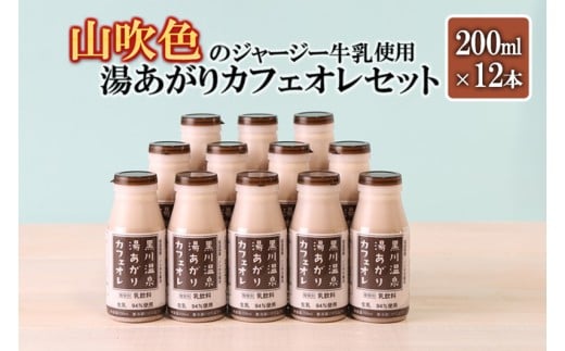 【山のいぶき】湯あがりカフェオレ 200ml 計12本 山吹色のジャージー牛乳 乳脂肪分 5％以上 低温殺菌 素材の味 飲みきり ギフト 贈答 セット 小国ジャージー牛乳 FOODEX JAPAN ご当地牛乳グランプリ 最高金賞 味の評価審査賞 購買欲審査賞 熊本 阿蘇 小国郷