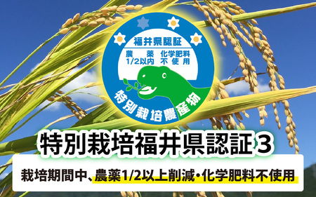 【先行予約】【 令和8年産　新米 】【農家直送】【選べる精米方法】特別栽培米認証3 ミルキークイーン 5kg×1袋（計5kg） 玄米【2026年10月中旬より順次発送】  | お米 おこめ ごはん ご
