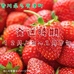 香川県オリジナル品種 さぬきひめいちご 約400g化粧箱入り(12~18粒)【L-39】