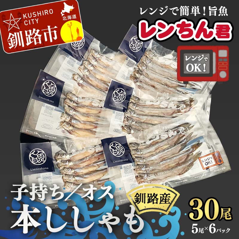 【ふるさと納税】レンちん君釧路産本ししゃもセット シシャモ 冷凍 魚 海産物 一夜干し 北海道 F4F-8446