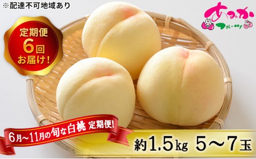 
                  桃 定期便 2026年 先行予約 6月～11月 の旬な 白桃 定期便！約1.5kg 5～7玉 6回お届け！ もも モモ 岡山県 赤磐市産 国産 フルーツ 果物 ギフト あみかフルーツ 柔らかい ジューシー 少し固め 甘み
                