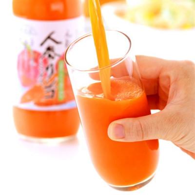 ふるさと納税 松川町 順造選 元気一杯 人参リンゴミックスジュース 人参汁+りんご果汁100% 500ml×12本 |  | 01