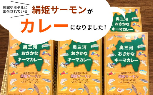 絹姫サーモン 奥三河おさかなキーマカレー ６個セット カレー ご当地カレー レトルトカレー 珍しいカレー 魚カレー 魚 サーモン サーモンカレー レトルトカレー インスタントカレー 鮭 常温 食品 非