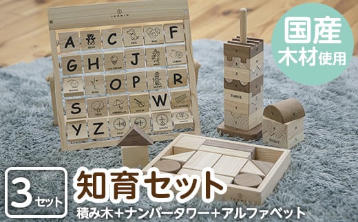 a546 姶良市産木材使用！IKONIH知育セット！【IKONIH FUKUOKA】 姶良市 ブロック 数字ブロック ナンバー タワー アルファベットカード 知育 玩具 遊び 木遊び おもちゃ 子ども 想像力　創造力 誕生日 木 木材