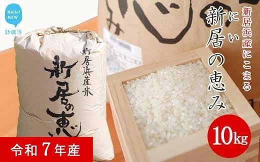
                  白米 精米 えひめ未来農業協同組合 ブランド米 「新居の恵み （にこまる） 令和7年産」 10kg
                