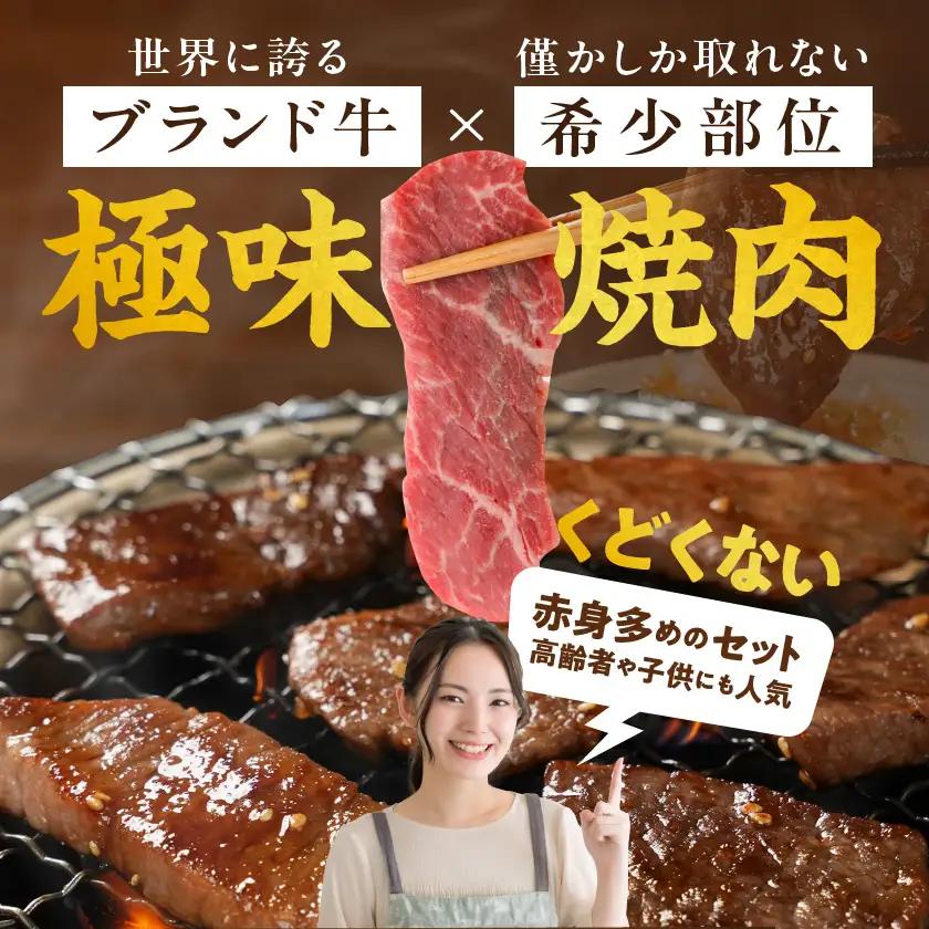 宮崎牛食べ比べ10種盛り焼肉セット(各600g×2P)≪みやこんじょ快速便≫〔34-31-003-1200g-R〕_(都城市) 宮崎県産 宮崎牛 A4ランク 焼肉 セット 内モモ カタ トンビ ランプ