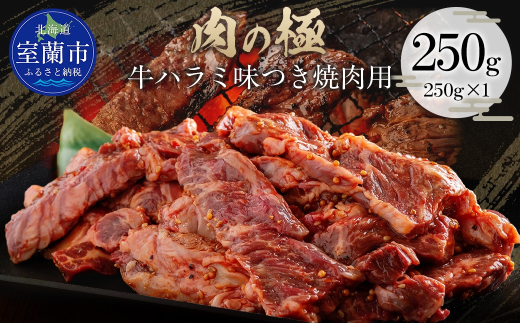 
                  牛ハラミ味つき焼肉用 250g (250g×1) 【ふるさと納税 人気 おすすめ ランキング 肉 牛肉 牛ハラミ 牛 ハラミ にく ニク 味付き 焼肉 バーベキュー BBQ 北海道 室蘭市 送料無料】 MROBM035
                