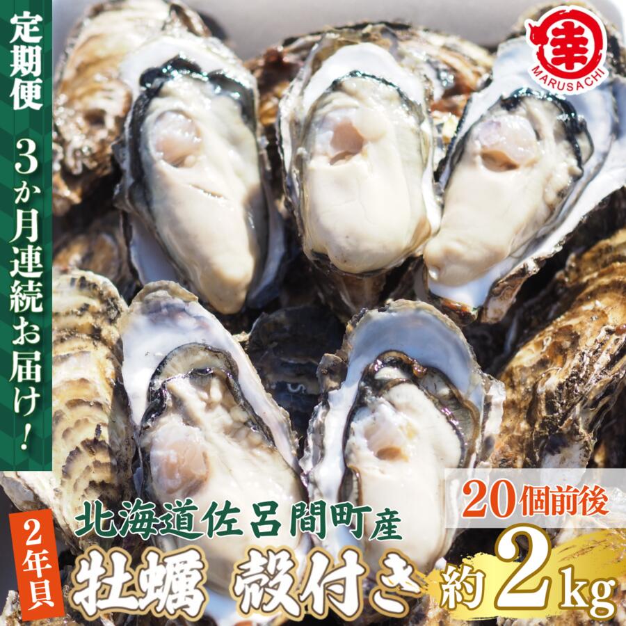 【ふるさと納税】【先行予約】【10月中旬から順次発送】カキ 殻付き 2年貝 約2kg（20個前後） 佐呂間産 ［3回定期便］ 【 ふるさと納税 人気 おすすめ ランキング 牡蠣 カキ かき 貝 殻付き ギフト 贈答 冷蔵 定期便 オホーツク 北海道 佐呂間町 送料無料 】 SRMA039