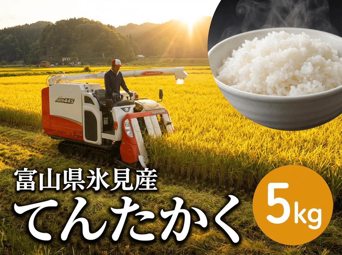 
                  令和7年産  富山県氷見産 てんたかく 5kg  種類が選べる（玄米 白米 無洗米）
                