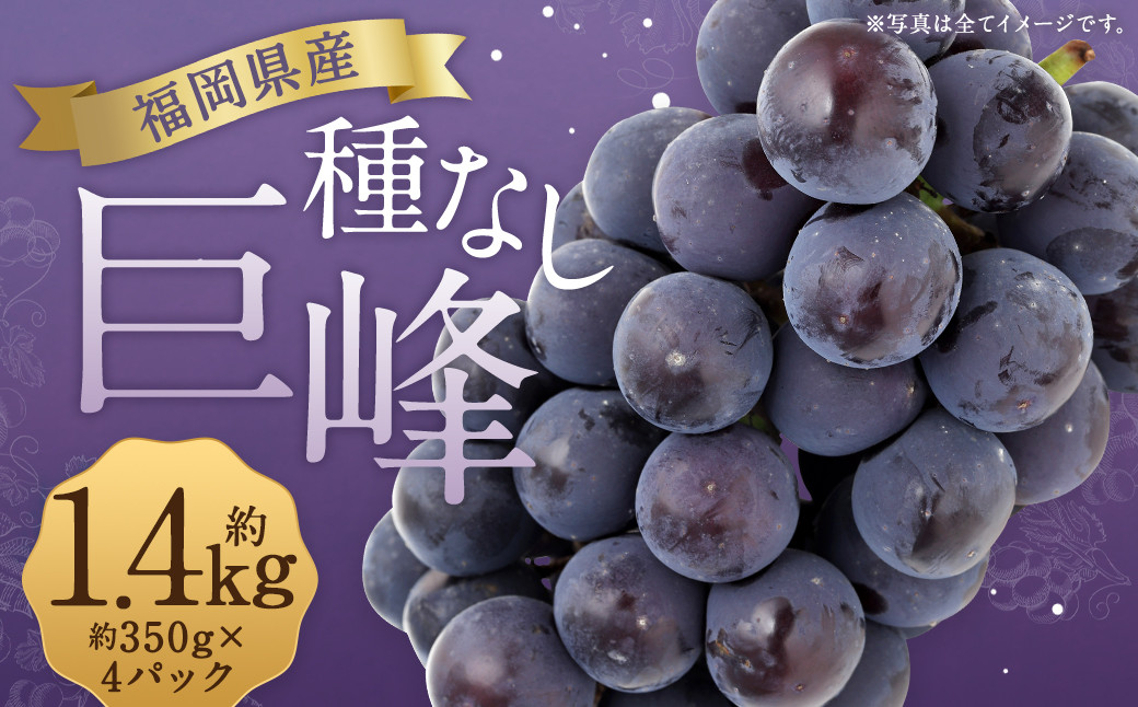 
            数量限定 種なし 巨峰  約350g×4パック 計約1.4kg 【2025年6月下旬～8月上旬発送予定】ぶどう ブドウ 果物 フルーツ 福岡県産
          