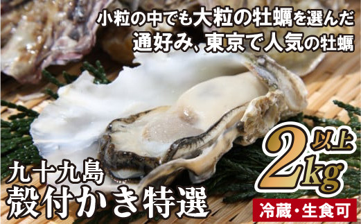 
A158p 九十九島殻付かき特選 2kg以上！ 生食可 牡蠣 生ガキ 生牡蠣 ギフト
