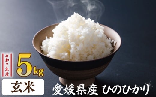 【玄米】ひのひかり 5kg | お米 愛媛県産米 ふるさと納税お米 こめ ご飯 ご飯のおとも ご飯 おにぎり 弁当 おこめ ごはん 飯 愛媛県 松山市