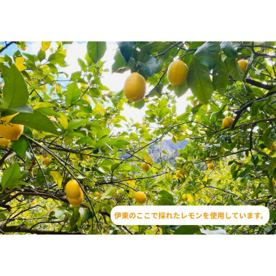 ギフト包装:伊豆産レモンのドライフルーツのハチミツ漬けと胡桃のハチミツキャラメリゼのセット