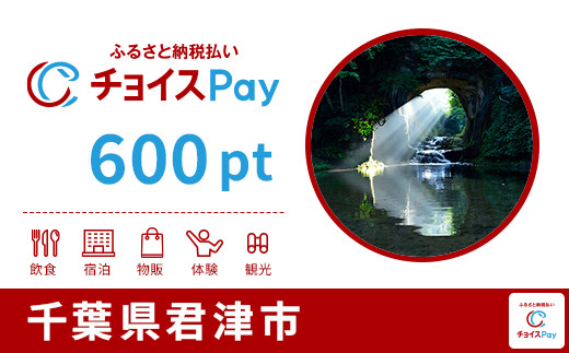 
            君津市チョイスPay 600pt【会員限定のお礼の品】
          