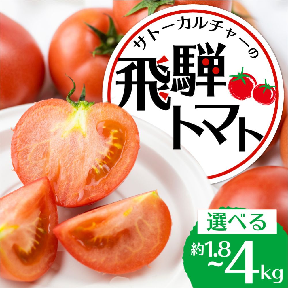 【ふるさと納税】＜8月から寄附額改定＞《先行予約》 飛騨トマト 約1.8kg（8−12玉） 約4kg / 単品 産地直送 野菜 とまと トマト 夏トマト 秋トマト 麗月 夏野菜 やさい 農家直送 産地直送 旨味 たっぷり パスタ 料理 ジュース 麗月 夏野菜 旬 やさい サトーカルチャー