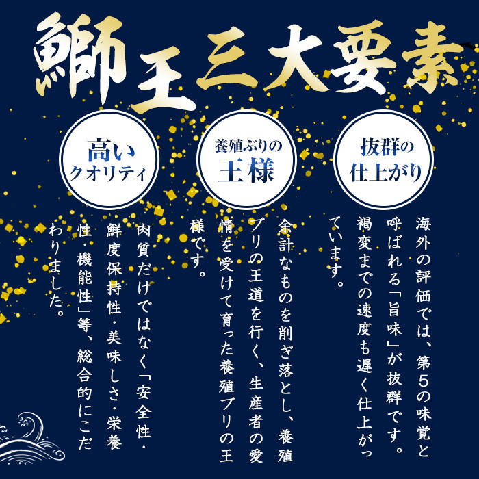 鰤王とは？