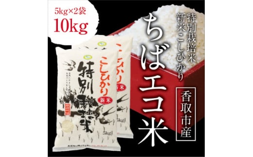 千葉県産 ちばエコ米コシヒカリ5kg×2袋【1360939】