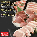 【ふるさと納税】宮崎県産豚 ロースとんかつ 100g×5 ロースしゃぶ 500g ヒレとんかつ 400g　計1.4kg ミヤチク 国産