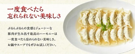 【令和8年10月発送分】合計104個！さんきょうみらい豚ぎょうざ(焼餃子＋水餃子)セット【 ふるさと納税餃子 ふるさと納税人気 ふるさと納税餃子 焼餃子 ぎょうざ  水ぎょうざ 】
