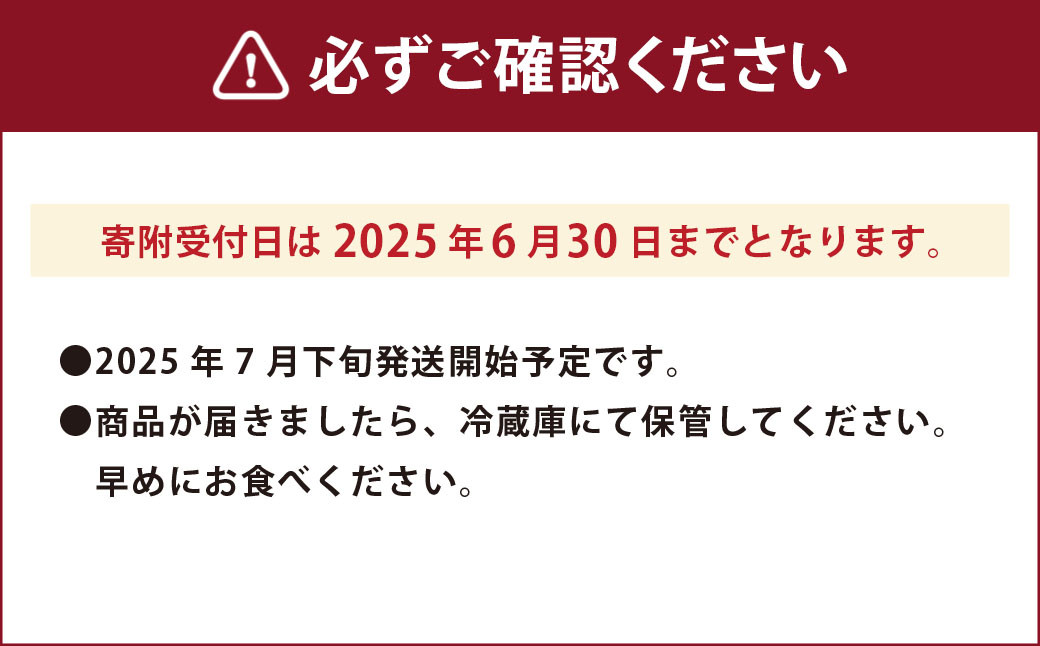 国産 天草ライチ 化粧箱付