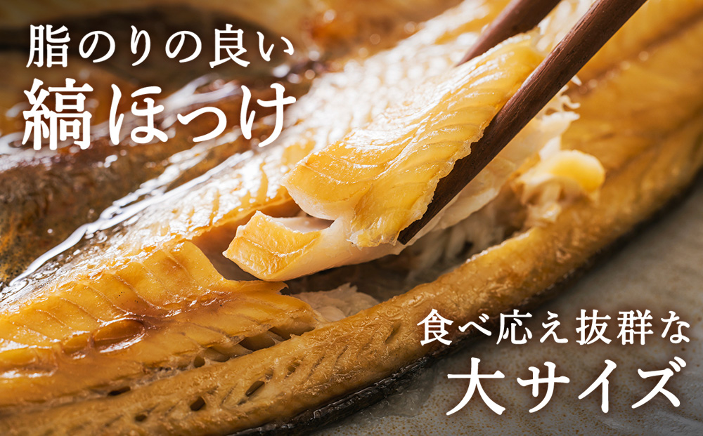 縞ほっけ　大サイズ350g～450g×5枚セット