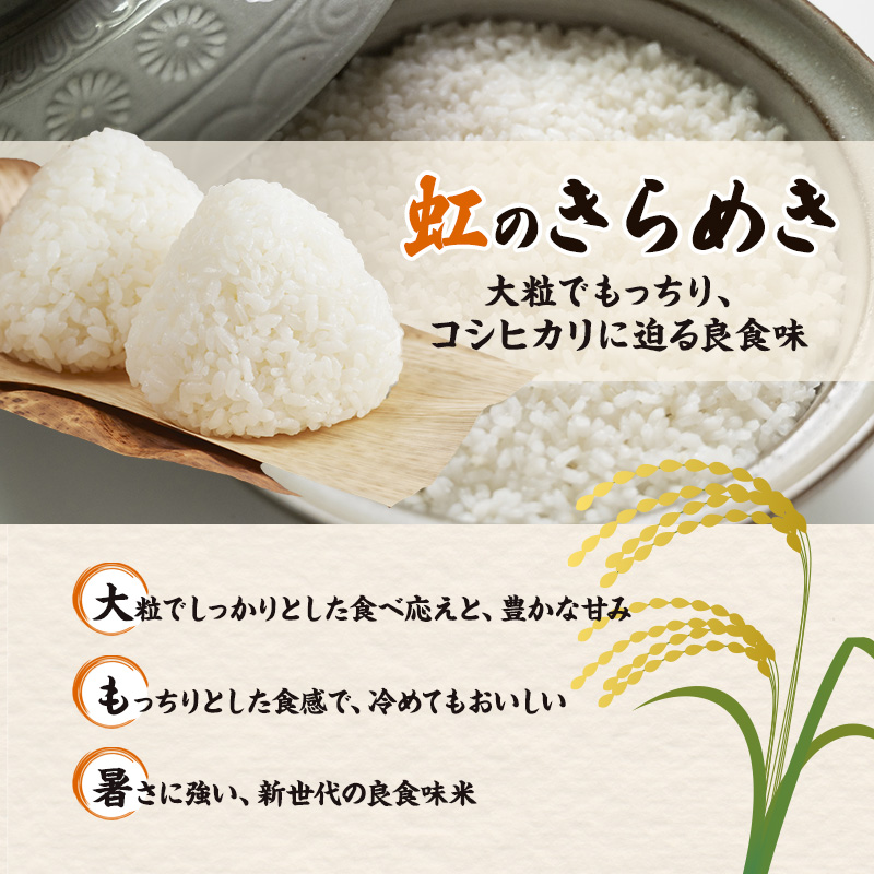 R8年産 新潟県産 品種おまかせ  10kg 2か月定期便 新潟県 新潟市産 令和8年産 お米 精米 米 ご飯 送料無料