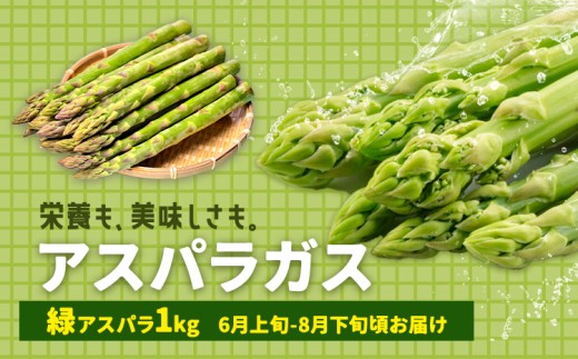 アスパラガス グリーン 夏アスパラ 1束 100g 10束 髙橋商店《2027年6月上旬-8月下旬頃出荷》熊本県 苓北町 野菜 アスパラ アスパラベーコン