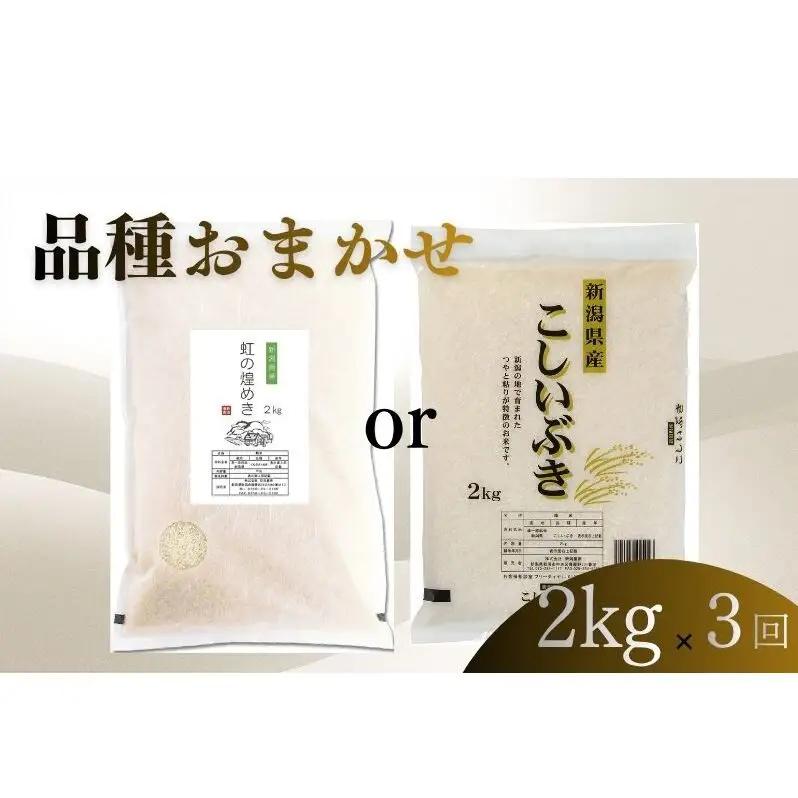 【7月上旬より配送】 新潟県産 品種おまかせ 2kg  3か月定期便 新潟県 新潟市産 令和7年産 お米 精米 米 ご飯 送料無料
