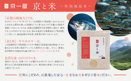 京都府京田辺産 京と米 ヒノヒカリ 8kg (2kg×4袋) お米 米 こめ コメ 精米 白米 ごはん ご飯 弁当 おにぎり 京田辺市 京都府