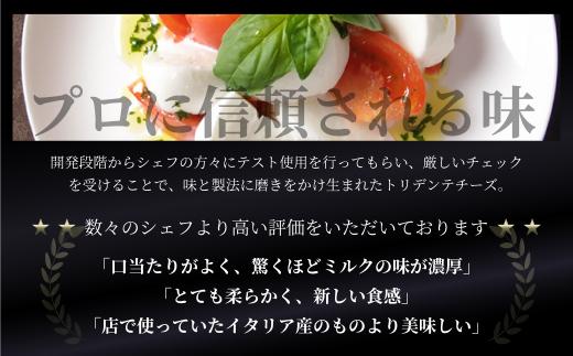 リコッタチーズ ３個セット（1個100g）| リコッタ 冷蔵 サラダ  お菓子 前菜 サラダ 新鮮 生乳 国産 乳製品 無添加 飛騨高山 トリデンテ リアライン LF009