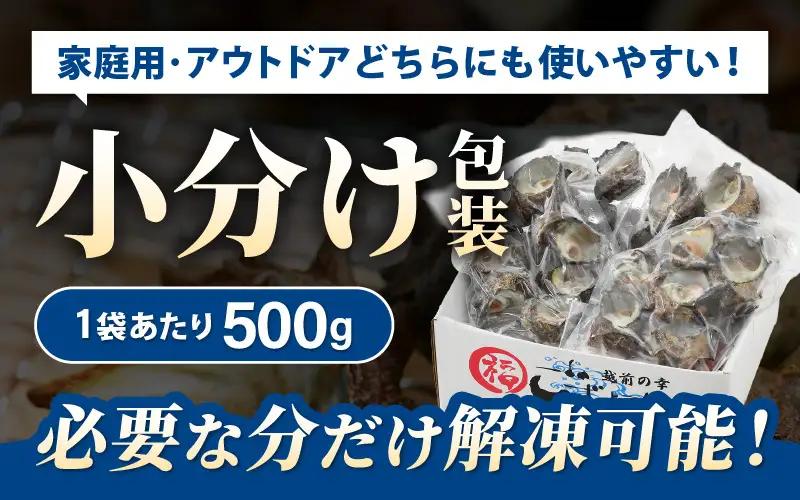 【先行予約】越前町産 天然 サザエ 1kg （500g×2袋）【2026年6月中旬より順次発送】【サザエ 海鮮】 [e15-a065]