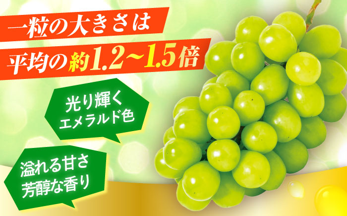 【先行予約・9月以降順次発送】シャインマスカット 1箱 (600g～700g×2房) 日田市 / JAおおいた [AREW005]